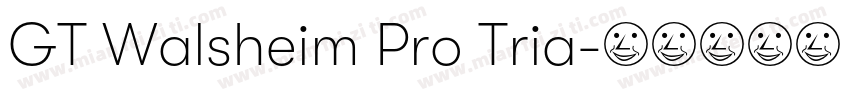 GT Walsheim Pro Tria字体转换